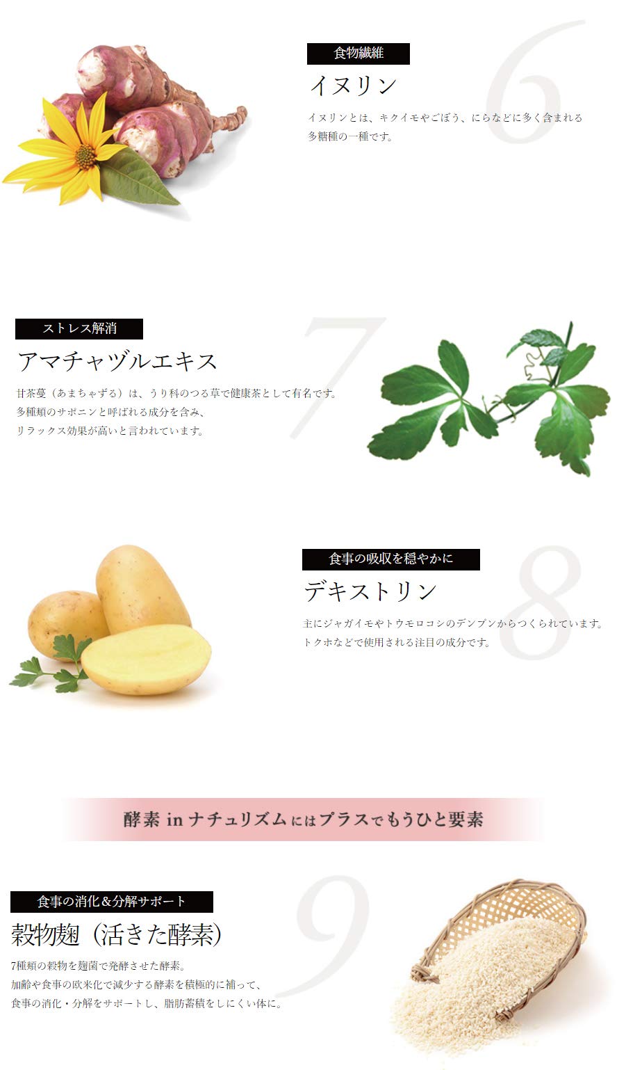【新品】酵素インナチュリズム ピンク・お徳用 naturism】酵素インナチュリズム ピンク お徳用600粒（約100日分